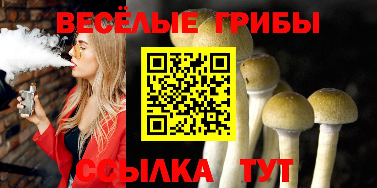 Псилоцибиновые грибы мицелий  Вход с VPN  Хасавюрт  Галлюциногенные грибы ЛСД 